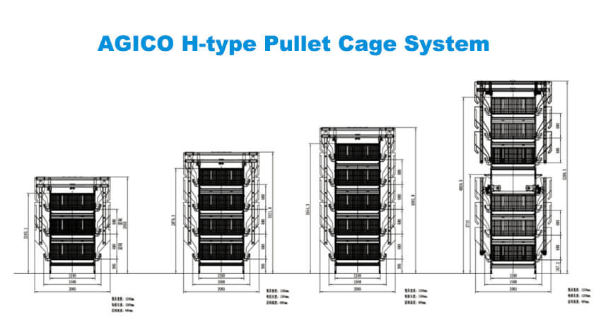 H型Pullet Cage系统结构