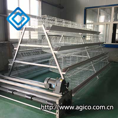 Large Pyramid Chicken Cage for Chicken Farm