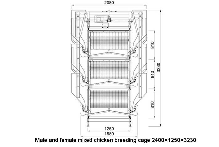 公、母混合鸡笼养殖2400×1250×3230